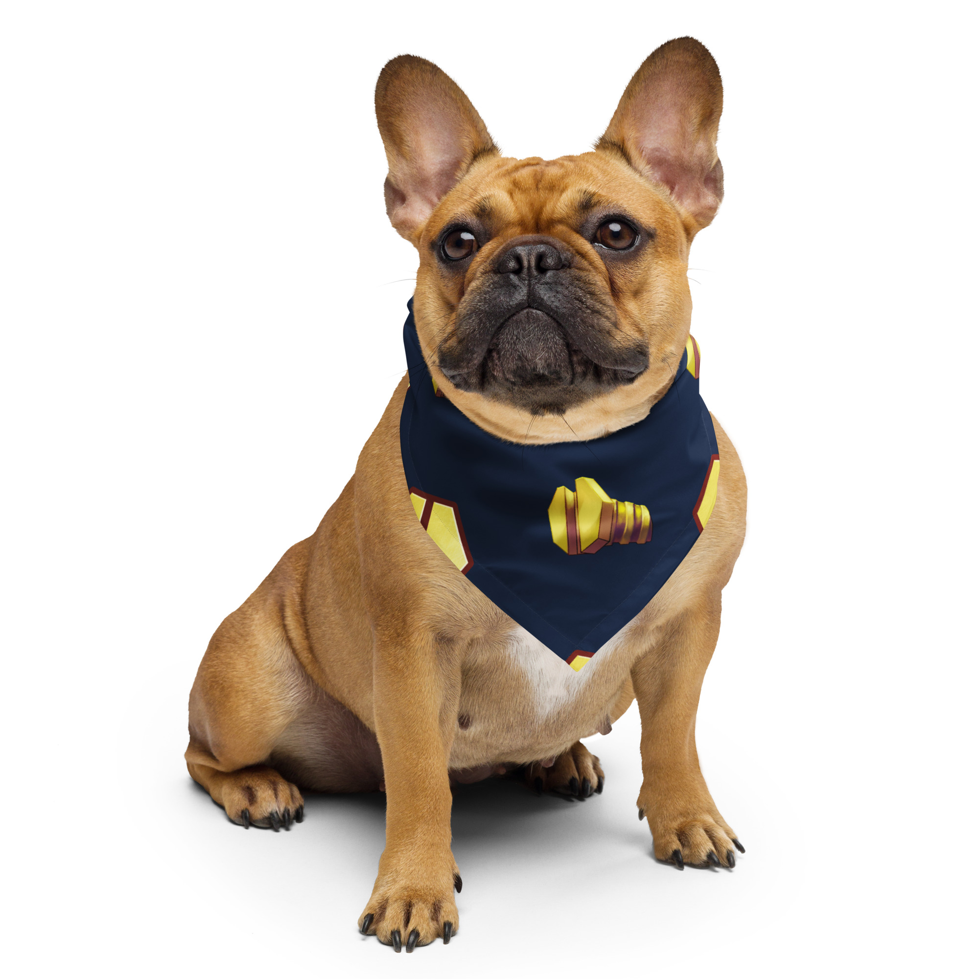 "Golden Hex" Pet Bandana